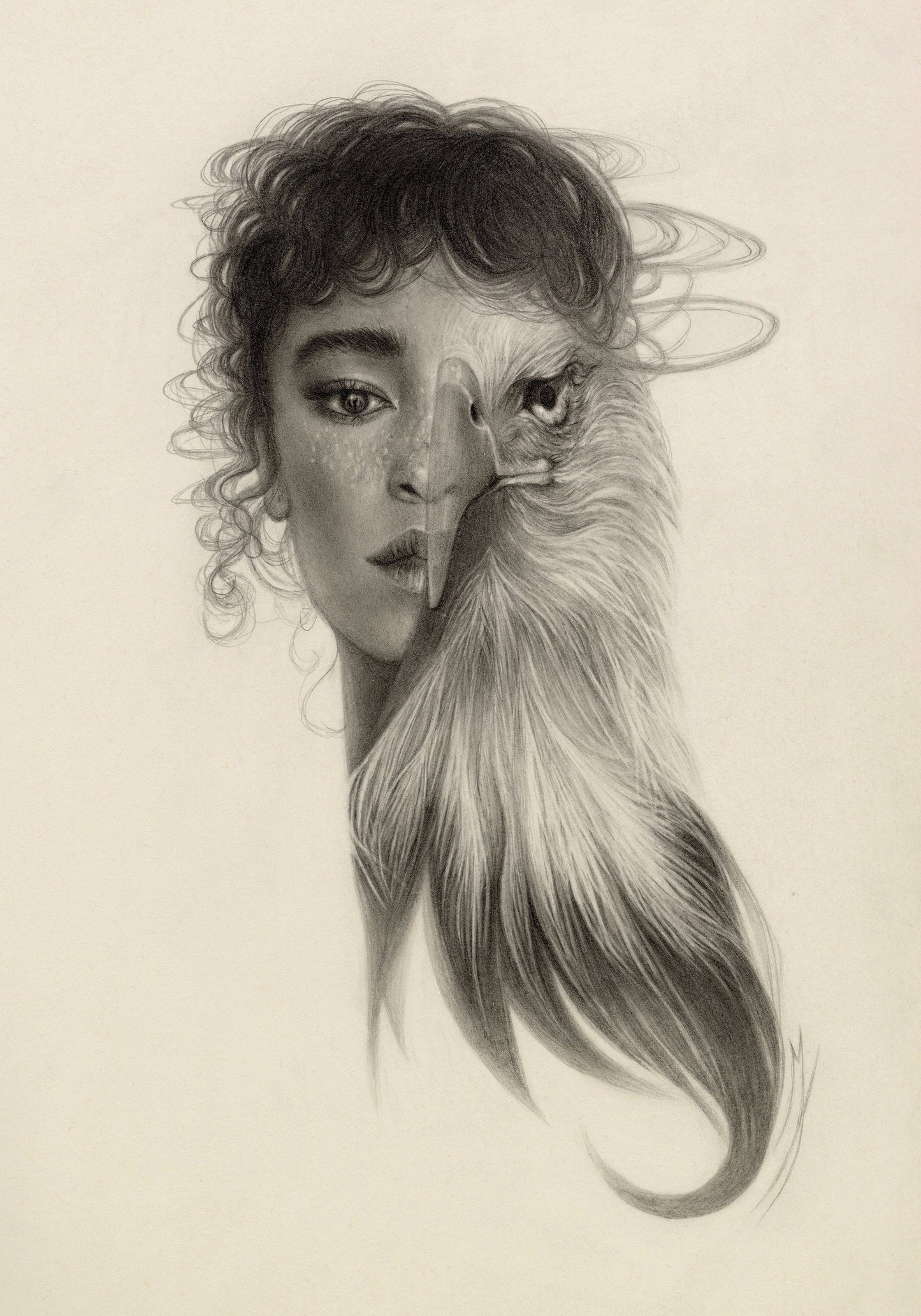 Seer