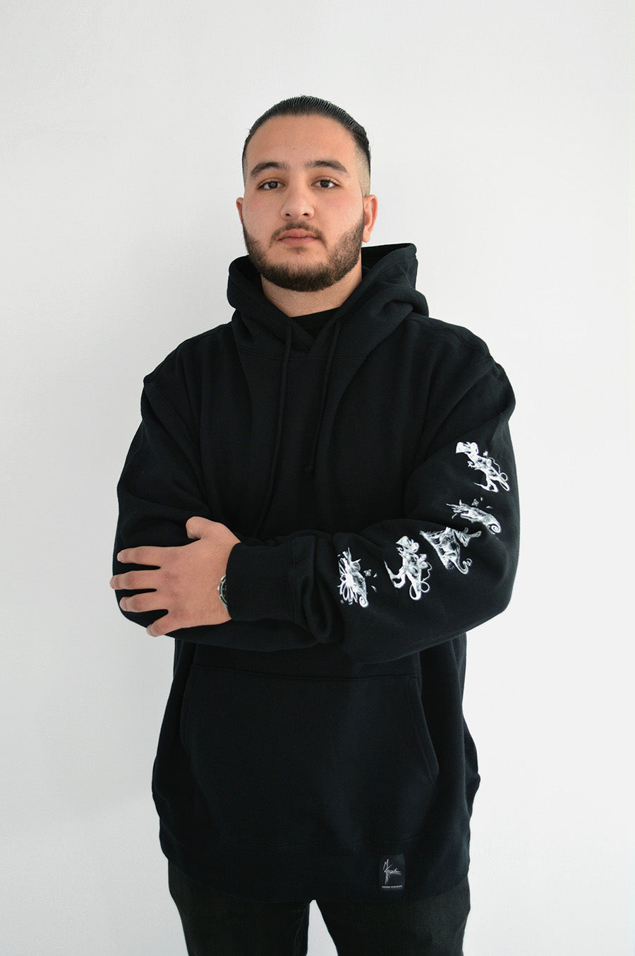 Dino Sleeve Hoodie